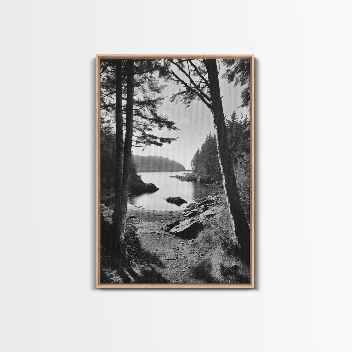 Woodland Cove Path, Tranquil Forest Scene, Nature Escape Art, Canvas Print, Cabin Wall Art, Coastal Boho Decor, Black White Landscape