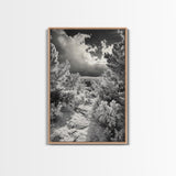 Snowy Pine Path, Winter Forest Light, Frozen Landscape Art, Canvas Print, Holiday Wall Art, Minimalist Winter, Nordic Style Decor