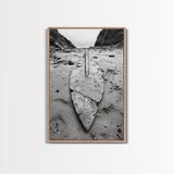 Fossil Rock Shore, Beach Minimalism, Sand Texture Art, Canvas Print, Coastal Wall Art, Natural History Decor, Abstract Earthy Art