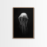 Elegant Jellyfish Art, Ocean Wildlife, Monochrome Marine, Framed Canvas Print, Bathroom Decor, Nautical Wall Art, Minimalist Sea Life