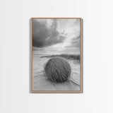 Tumbleweed Dune, Windy Coast, Desert Beach, Canvas Print, Boho Wall Art, Autumn Nature Decor, Minimalist Western Photography