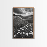 Meadow Bloom, Coastal Flowers, Stormy Sky, Framed Canvas Print, Spring Wall Art, Nature Photography, Kitchen Botanical Decor