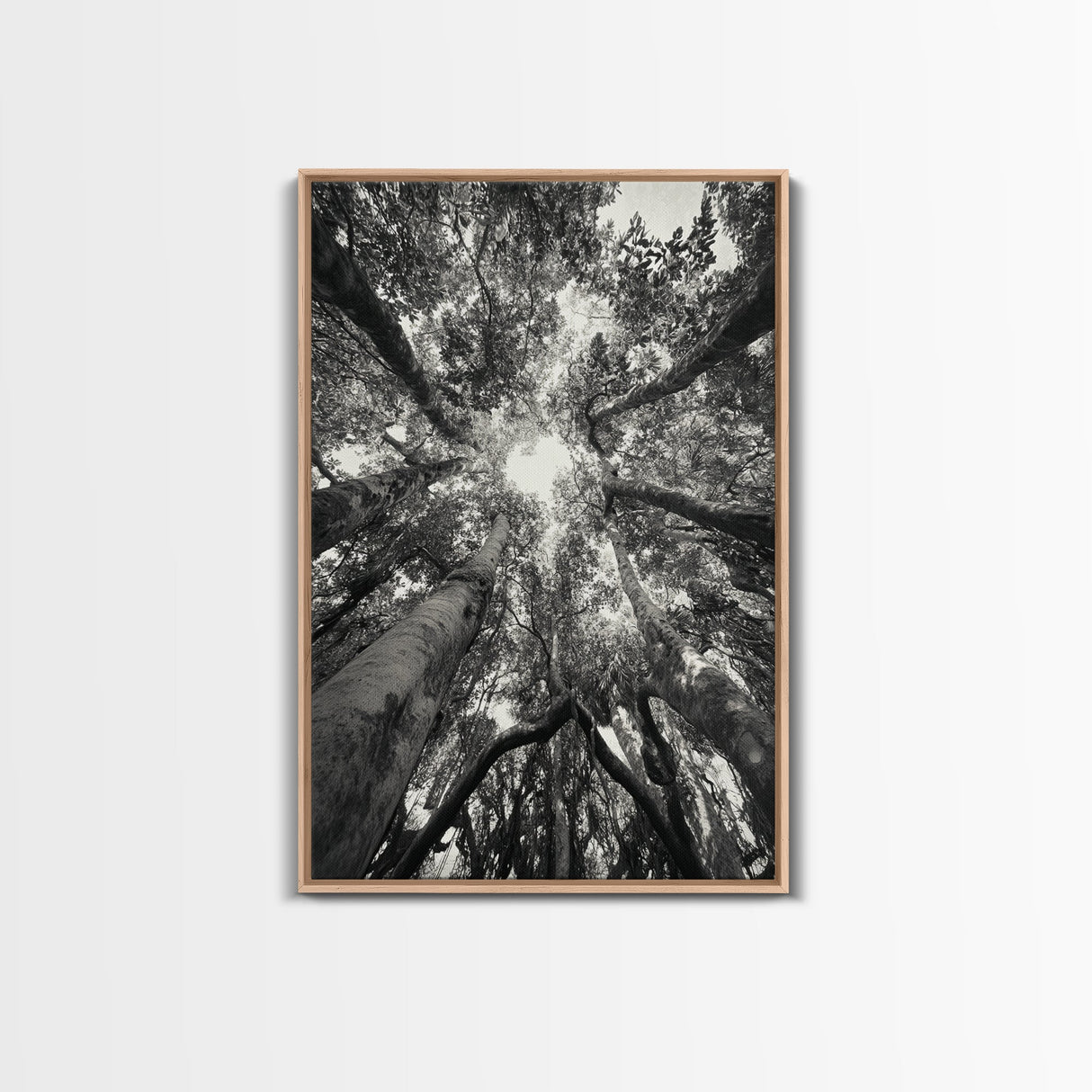 Tree Canopy, Forest Light, Upward View, Canvas Print, Woodland Wall Art, Living Room Decor, Nature Perspective Photography