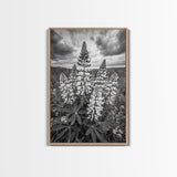 Lupine Flower Field, Bold Floral, Spring Nature Scene, Framed Canvas Print, Boho Living Room Art, Botanical Wall Decor