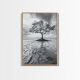 Lonely Tree, Coastal Roots, Ocean Breeze, Framed Canvas Print, Entryway Wall Art, Moody Nature Photography, Minimalist Earth Tones
