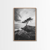 Lone Tree, Cliffside Ocean, Windy Coast Art, Framed Canvas Print, Bedroom Wall Art, Modern Nature Photography, Coastal Minimalist Decor