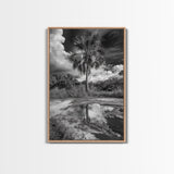 Tropical Palm, Reflected Sky, Nature Tranquility, Canvas Print, boho wall decor, bathroom art, tropical reflection photography