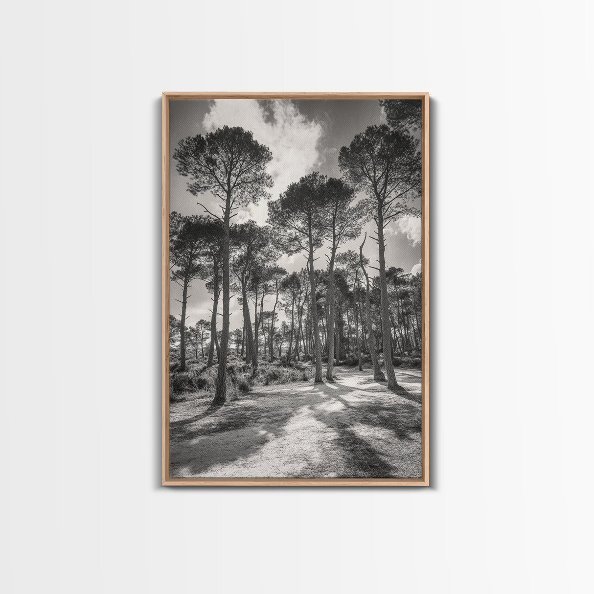Forest Shadows, Tall Pines, Natural Light, Framed Canvas Print, woodland landscape, rustic cabin decor, autumn forest art