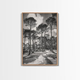 Forest Shadows, Tall Pines, Natural Light, Framed Canvas Print, woodland landscape, rustic cabin decor, autumn forest art