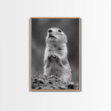 Prairie Dog, Wildlife Watch, Nature Moment, Framed Canvas Print, Whimsical Animal Wall Art, Nursery Decor, Cute Forest Creature