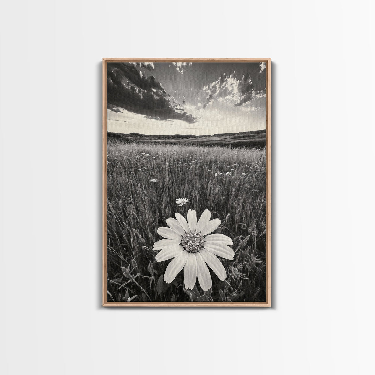 Wildflower Field, Daisy Bloom, Summer Meadow, Framed Canvas Print, Boho Botanical Wall Art, Bedroom Decor, Earthy Nature Photography