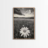 Wildflower Field, Daisy Bloom, Summer Meadow, Framed Canvas Print, Boho Botanical Wall Art, Bedroom Decor, Earthy Nature Photography