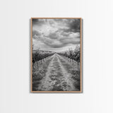 Vineyard Rows, Cloudy Skies, Countryside Path, Canvas Print, Farmhouse Wall Art, Kitchen or Dining Decor, Rustic Landscape Photo