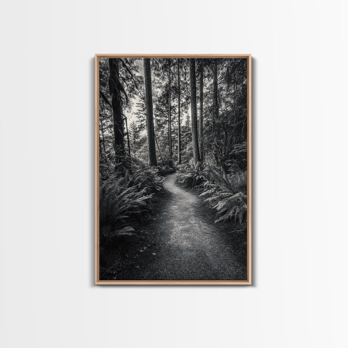 Fern Pathway, Enchanted Forest, Woodland Trail, Framed Canvas Print, Nature Walk Wall Art, Boho Bedroom Decor, Moody Landscape Style