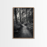 Fern Pathway, Enchanted Forest, Woodland Trail, Framed Canvas Print, Nature Walk Wall Art, Boho Bedroom Decor, Moody Landscape Style