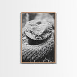 Rattlesnake Face, Coiled Closeup, Venomous Gaze, Canvas Print, Macro Wildlife Wall Art, Reptile Decor, Intense Black White Photography