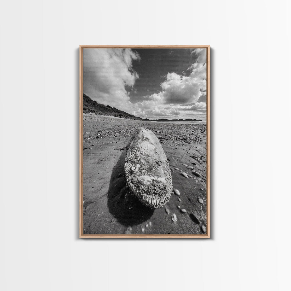 Whale Bone, Coastal Find, Ocean Relic, Framed Canvas Print, Seaside Wall Art, Beach House Decor, Nautical Minimalist Photography