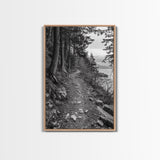 Forest Pathway Trail, Wilderness Escape, Rustic Nature, Black and White Framed Canvas Print, Cozy Cabin or Entryway Wall Art