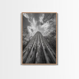 Tall Cactus, Desert Skies, Cactus Wall Art, Framed Canvas Print, Boho Desert Decor, Minimalist Nature Print, Bedroom Southwest Style