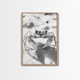 Sand Crab, Beach Macro, Ocean Critter Art, Framed Canvas Print, Coastal Bathroom Decor, Beach House Wall Art, Nature Close-Up