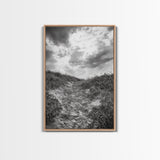 Sandy Trail, Ocean Path, Windy Grass, Moody Sky, Framed Canvas Print, coastal nature photography, hallway decor, rustic neutral art