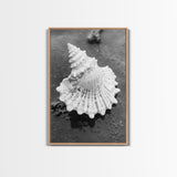 Spiral Shell, Beach Texture, Nature Closeup, Sea Whisper Framed Canvas Print, minimalist beach wall art, boho coastal kitchen decor
