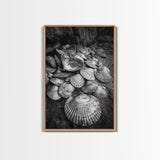 Seashell Pile, Textured Beach, Coastal Treasures, Natural Beauty Framed Canvas Print, bathroom decor, shell art, beach wall style