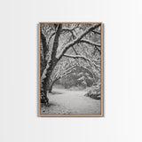 Snowfall Trees, Winter Forest, Nature Pathway, Canvas Print, Holiday Season Decor, Cozy Living Room or Cabin Wall Art