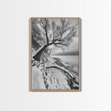 Coastal Snow, Barren Tree, Frozen Shoreline, Canvas Print, Serene Winter Decor, Entryway or Hallway Minimalist Wall Art