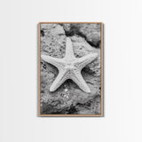 Starfish Closeup, Coastal Shell, Beach Texture, Framed Canvas Print, Bathroom or Ocean Nursery Decor, Minimal Beach Art