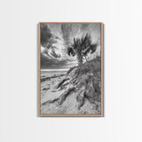 Palm Tree Beach, Coastal Dunes, Dramatic Sky, Framed Canvas Print, Tropical Wall Art, Boho Living Room Decor, Beach House Art