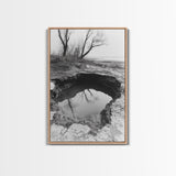 Reflected Trees Pool, Black White Nature, Moody Autumn Wall Art, Rustic Minimalist Style, Framed Canvas Print, Entryway Home Decor