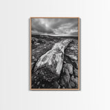 Rocky Terrain Driftwood, Weathered Wood Scene, Outdoor Adventure Art, Modern Rustic Decor, Framed Canvas Print, Earthy Tones Photography