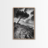 Wind Bent Tree, Coastal Cliff, Solitary Beauty, Canvas Print, Nature Photography Wall Art, Minimalist Earthy Decor, Moody Landscape