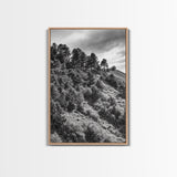 Hillside Forest, Peaceful Pines, Mountain Light, Framed Canvas Print, Nature Wall Art, Cabin Decor, Woodland Landscape Scene