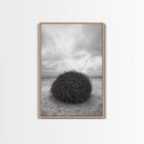 Windswept Beach Nest, Natural Sculpture, Driftwood Ball, Solitude Scene, Canvas Print, Minimalist Wall Art, Neutral Bedroom Decor