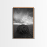 Twilight Field Nest, Tumbleweed Art, Desert Calm, Grassy Plains, Framed Canvas Print, Entryway Wall Art, Boho Nature Landscape