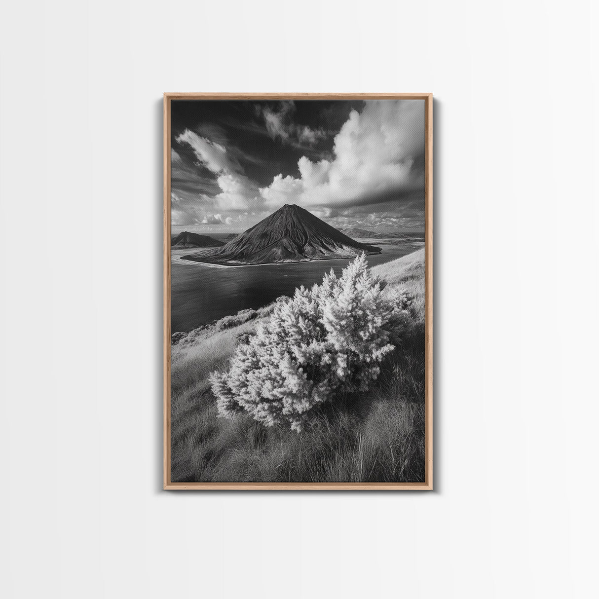 Majestic Volcano, Wild Grass, Black and White, Framed Canvas Print, Nature Photography, Office Decor, Moody Art, Rustic Wall Art