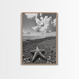 Starfish on Shore, Rocky Beach Scene, Cloudy Sky Horizon, Ocean Calm, Framed Canvas Print, Coastal Art, Bathroom Wall Decor