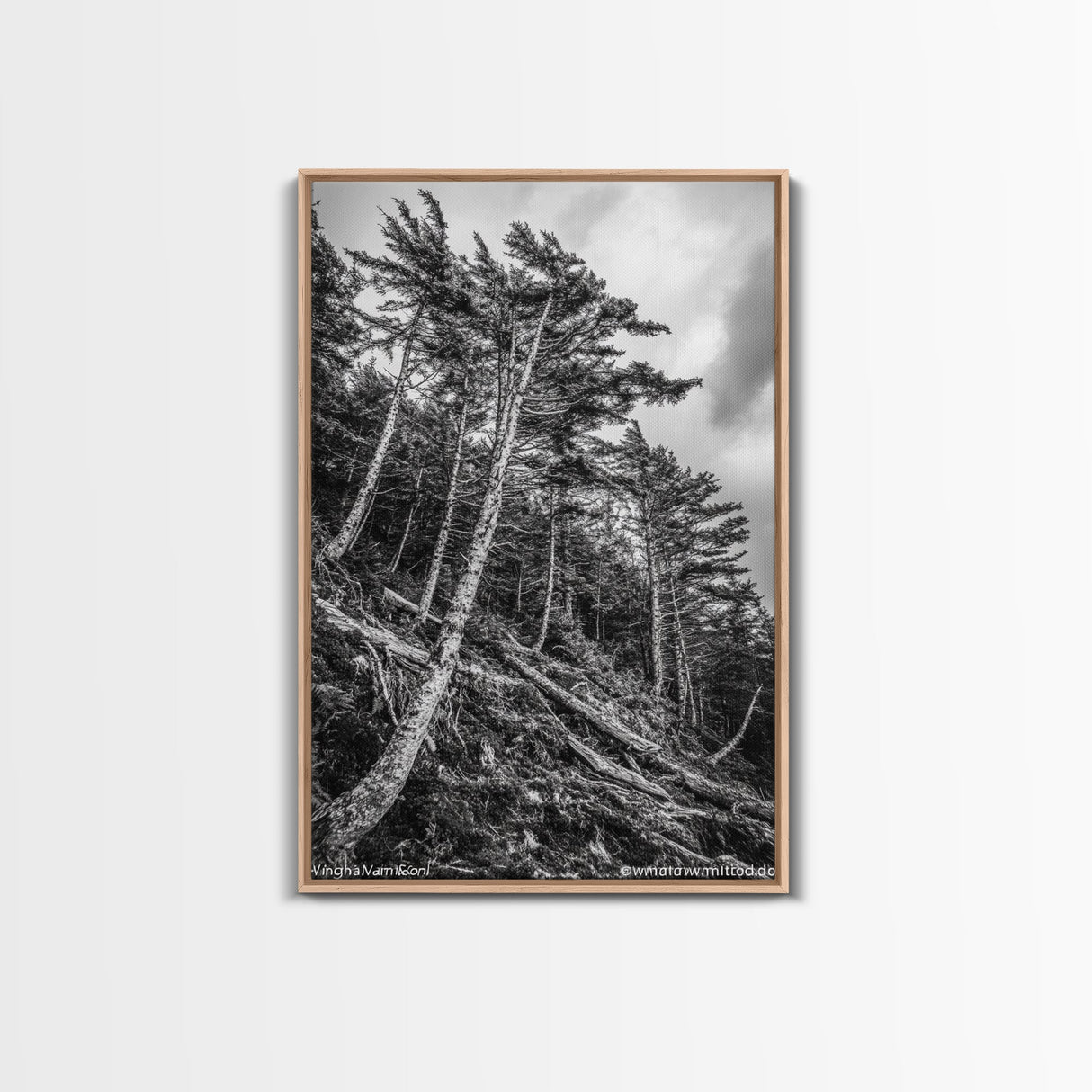Windy Pines, Forest Landscape, Nature Photography, Framed Canvas Print, Rustic Wall Art, Cabin Decor, Minimalist Art, Fall Home Style