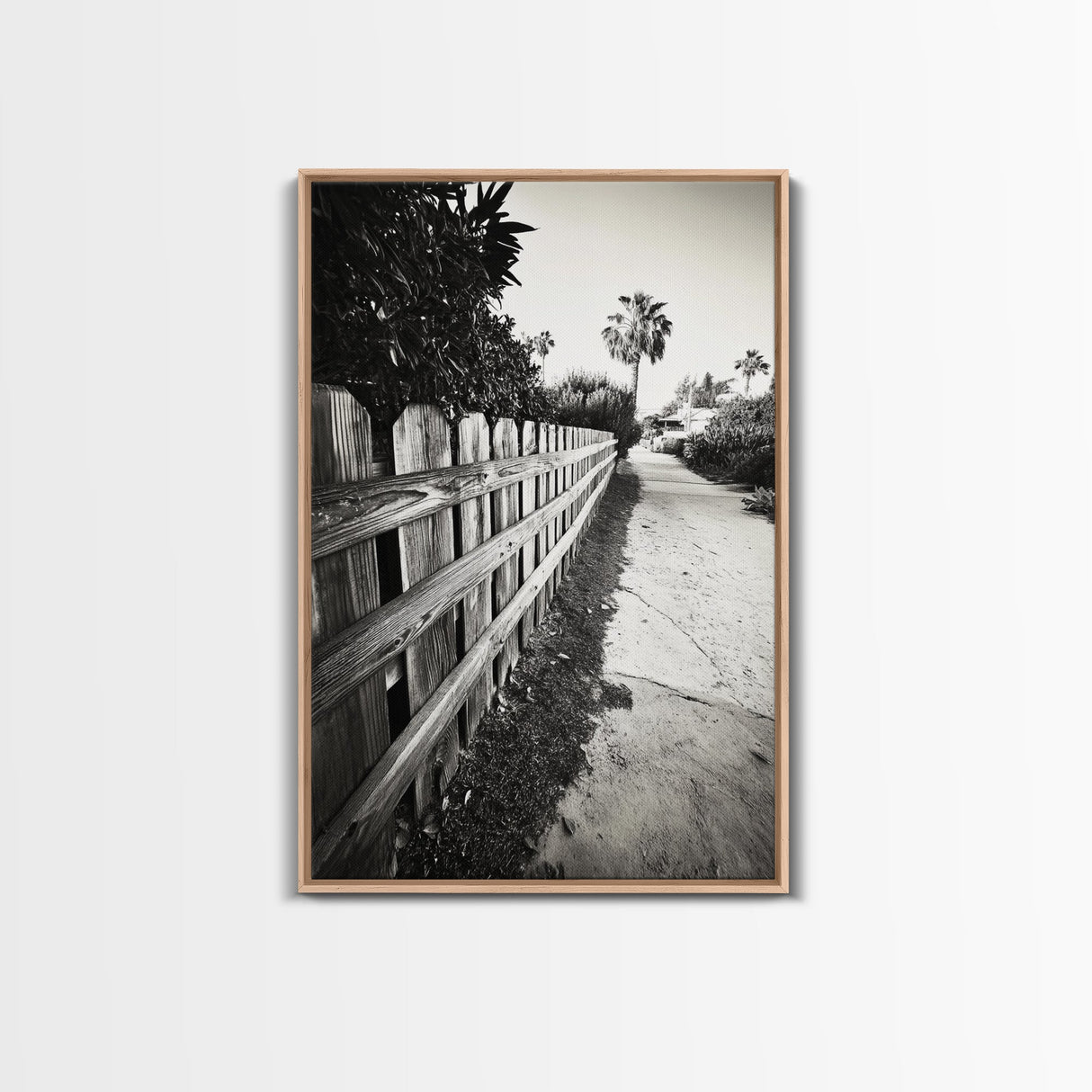 Palm Fence, California Pathway, Suburban Tranquility, Canvas Print, Outdoor Wall Art, Neutral Tones, Modern Minimalist Home Vibe