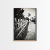 Palm Fence, California Pathway, Suburban Tranquility, Canvas Print, Outdoor Wall Art, Neutral Tones, Modern Minimalist Home Vibe