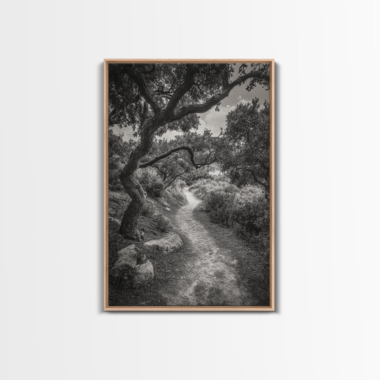 Forest Path, Twisting Trees, Nature Trail Scene, Framed Canvas Print, Earthy Wall Art, Boho Woodland Decor, Entryway or Hallway Accent