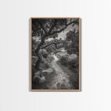 Forest Path, Twisting Trees, Nature Trail Scene, Framed Canvas Print, Earthy Wall Art, Boho Woodland Decor, Entryway or Hallway Accent
