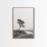 Leaning Tree Path, Soft Fog Scene, Calm Landscape, Canvas Print, Serene Entryway Wall Art, Nature Photography, Minimalist Decor