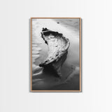 Driftwood Shore, Tidal Beauty, Washed Wood, Canvas Print, Coastal Beach Wall Art, Minimalist Bathroom Decor, Black and White Ocean Scene
