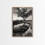 Tree Reflection, Still Water, Peaceful Nature, Framed Canvas Print, Tranquil Wall Art, Rustic Bedroom Decor, Black and White Photography