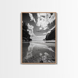 Dragonfly Flight, Beach View, Nature Dream, Framed Canvas Print, Whimsical Wall Art, Surreal Living Room Decor, Black and White Nature Style