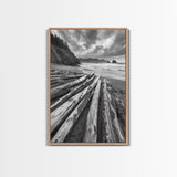 Driftwood Beach, Coastal Logs, Wild Shore, Canvas Print, Rustic Ocean Wall Art, Cabin Bathroom Decor, Nature Inspired Photography