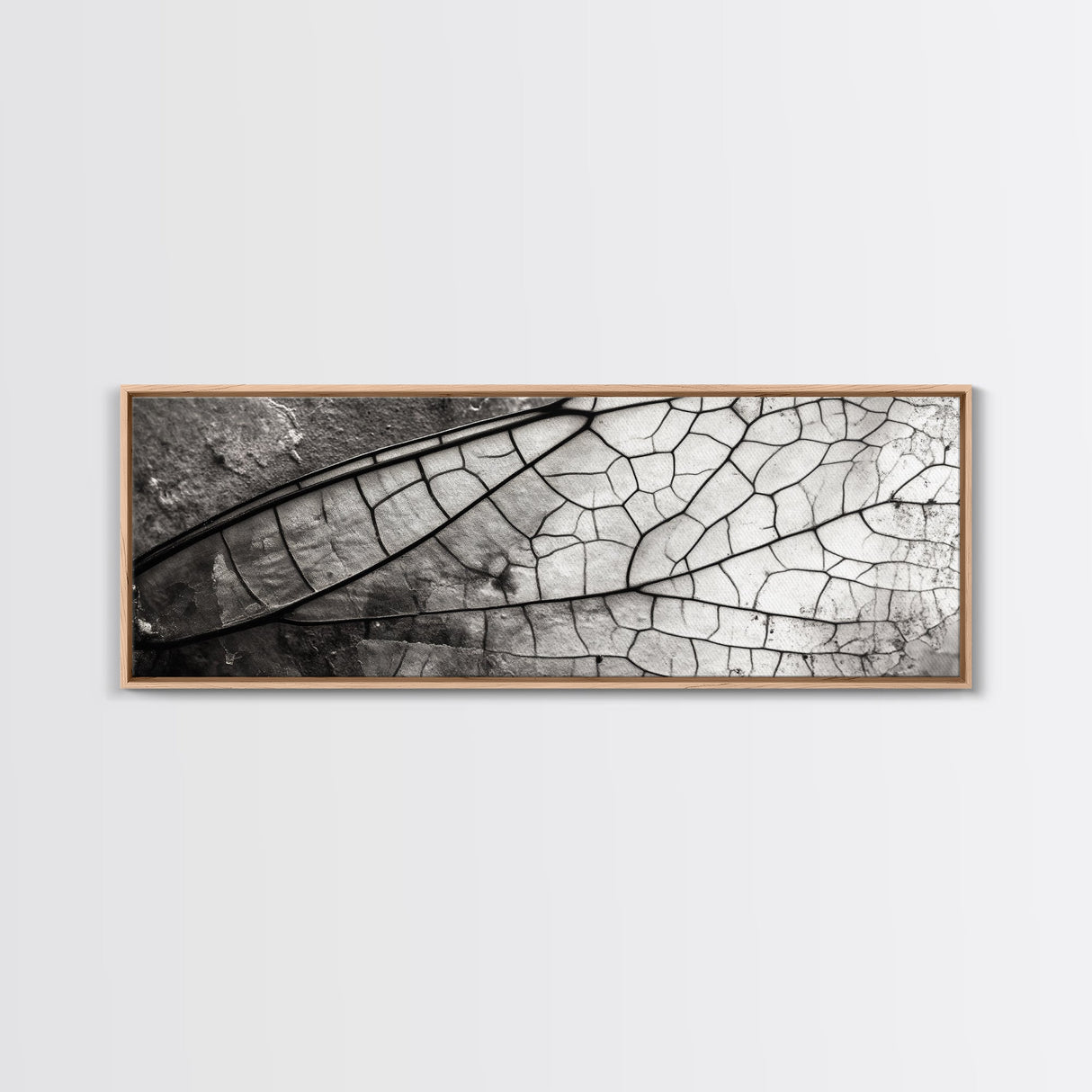 Macro Insect Wing, Abstract Nature Texture, Modern Neutral Wall Decor, Framed Canvas Print, Office Art, Monochrome Macro Photography